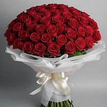 Букет 101 Красная роза Блэк Мэджик в Никольское Ленинградская область