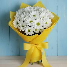 Букет цветов из:  Хризантемы в Никольское Ленинградская область