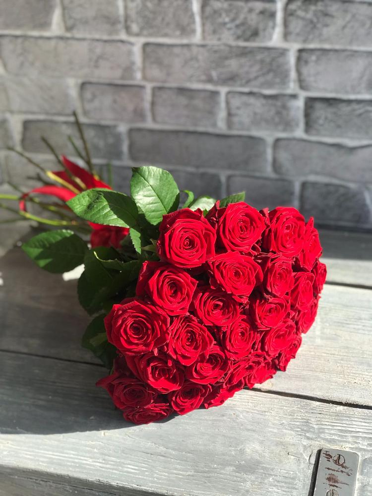 Букет Красные розы Фридом в Никольское Ленинградская область