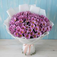 Букет цветов из:  Хризантемы в Никольское Ленинградская область