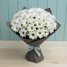 Букет цветов из:  Хризантемы #REPLACE_PRED# Никольское Ленинградская область