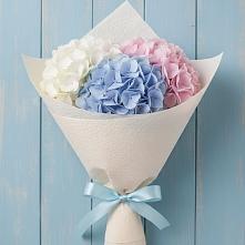 Букет цветов из:  Гортензия в Никольское Ленинградская область