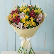 Букет цветов из:  Альстромерии в Никольское Ленинградская область