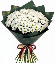 Букет цветов из:  Хризантемы в Никольское Ленинградская область