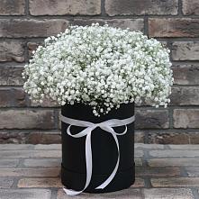 Цветочная композиция из Гипсофила в шляпной коробке в Никольское Ленинградская область
