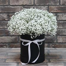 Цветочная композиция из Гипсофила в шляпной коробке в Никольское Ленинградская область