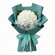 Букет цветов из:  Гортензия в Никольское Ленинградская область